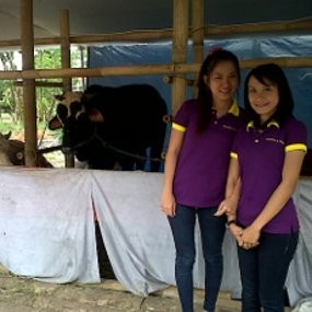 SPG pun Kini Promosikan Hewan Kurban