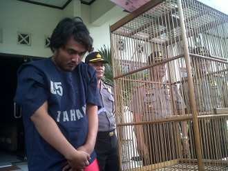 Curi Burung Anggota DPR, Mahasiswa Terperosok di Sawah