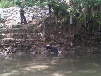 Mayat Wanita Berbaju Hitam Ditemukan di Kali Ciliwung