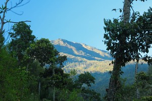 Gunung Lawu