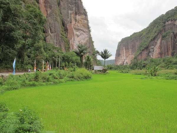 Jalanan di antara tebing-tebing tinggi di Lembah harau (Afif/detikTravel) Jalanan di antara tebing-tebing tinggi di Lembah harau (Afif/detikTravel)