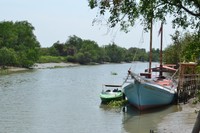 Pengunjung dapat menaiki perahu untuk menyusuri pantai bakau Pengunjung dapat menaiki perahu untuk menyusuri pantai bakau