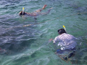 Snorkeling dan Diving di Raja Ampat yang Penuh Sensasi