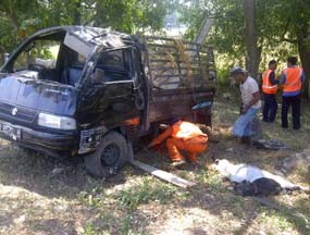 Pick Up Terguling di Km 29.250, Tiga Ekor Kambing Mati