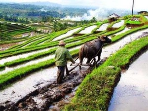 Ini Dia 6 Destinasi yang Tak Biasa di Bali