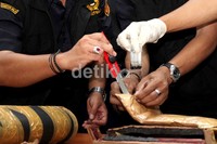 Petugas menunjukkan barang bukti yang berhasil diamankan.