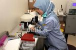 150 Orang Calon Haji RI Terbaring Sakit
