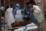 150 Orang Calon Haji RI Terbaring Sakit