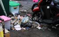 Sampah bertebaran di sejumlah titik. Benar-benar mengganggu!