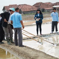 Undip Dongkrak Produktivitas Wirausaha Garam Rakyat