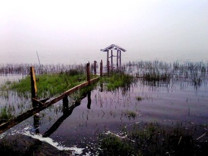 Menembus Kabut Argopuro