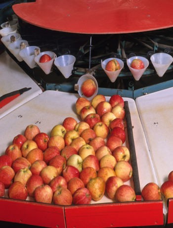 Makanan Lezat di Pesawat Melalui 6 Tahapan Produksi Ini