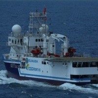 Terkendala Cuaca dan Perizinan, Elnusa Belum Realisasikan Kontrak US$ 100 Juta