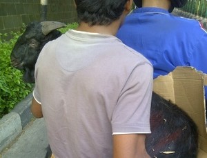 Idul Adha Tiba, Motor Berganti Peran