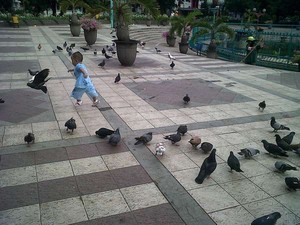 Wajib Coba! 5 Kegiatan Asyik Saat ke Malang