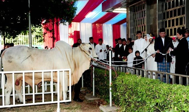 Bagikan 6.000 Daging Kurban, Masjid Istiqlal Gunakan Sistem Celup Jari