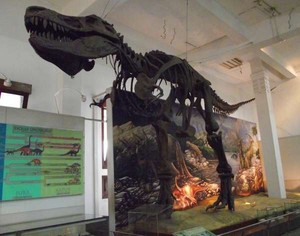 Weekend Seru ke Museum Geologi Bandung