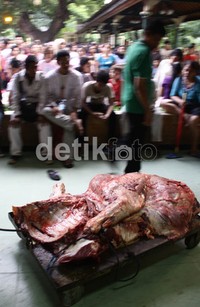 Daging kurban baru dibagikan sekitar jam 18.30. (Ramses/detikcom)