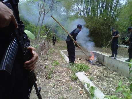 Olah TKP Terduga Teroris di Madiun, Polisi Musnahkan Sisa Bahan Peledak