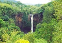 Seorang Remaja asal Sidoarjo Hilang di Air Terjun Baung