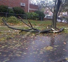 WNI di New York: Alhamdulillah Sandy Sudah Pergi