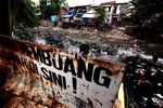 Sampah Cemari Kali Cipinang Muara
