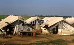 Ribuan Warga Rohingya Tinggal di Pengungsian