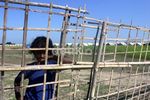 Ribuan Warga Rohingya Tinggal di Pengungsian