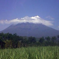 Gemuruh Gunung Raung Memaksa Warga Bersiap Mengungsi
