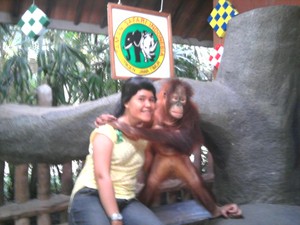 Take a pic with pongo
