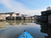 Di Pelabuhan Sunda Kelapa, Jakarta Utara, Anda akan diajak untuk berperahu jalan-jalan ke Pasar Ikan dan pemukiman di pesisir. Ada banyak rumah terapung dan para nelayan di sana. Biasanya perjalanan tersebut berlangsung sekitar 45 menit. (Afif/detikTravel)