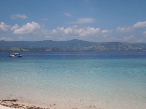 Rela Menderita Demi Keindahan Taman Laut 17 Pulau Riung