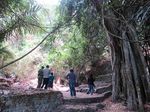 Trunyan, Kuburan di Bali yang Penuh Tengkorak!