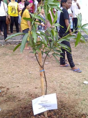Jokowi Tak Hadiri HUT Titiek Puspa di Marunda, Ariel Jadi Daya Tarik