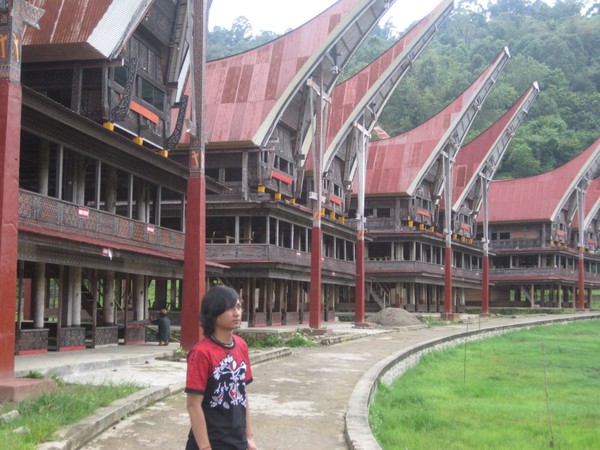 Rumah Adat dan Kuburan Batu, Asli dari Tana Toraja