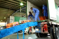 Tas koper yang lolos pemeriksaan, langsung naik truk untuk dibawa ke King Abdulazis International Airport.