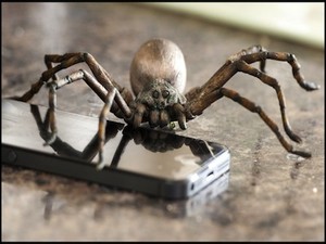 Nyam nyam... Tarantula Ini Lezat Legit!
