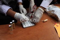 Guna pembuktian perkara dan uji laboratorium, petugas menyisihkan 83,7 gram; 19 gram disisihkan untuk kepentingan Iptek, dan 18,3 gram disisihkan untuk kepentingan pendidikan dan pelatihan. Sehingga total barang bukti yang dimusnahkan seberat 1.772,2 gram.