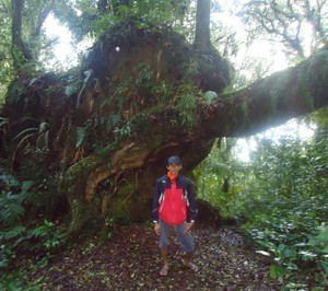 Batu Gajah Gunung Seulawah Agam