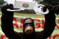Menurut aktivis COP, populasi orangutan semakin memprihatinkan.
