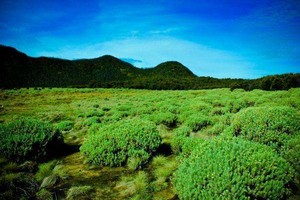 5 Gunung Ini Bersahabat Untuk Wanita