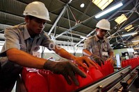 Sejumlah pekerja melakukan pengemasan.
