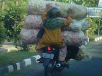 Foto diambil di Weleri, Kendal, Jawa Tengah. (Foto Jimmy Mandagi).