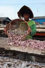 Kebutuhan Ikan Asin Capai 4 Ton Perhari