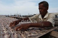 Dikelurahan Kali Baru ini memang banyak warga yang memproduksi ikan asin rumahan.
