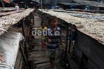 Kebutuhan Ikan Asin Capai 4 Ton Perhari
