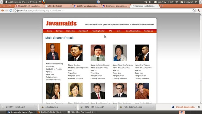 Situs Javamaids Diretas, Profil Pramuwisma Diganti Menteri KIB II