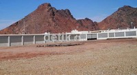 Makam para sahabat nabi termasuk Hamzah dan para syuhada lainnya yang gugur dalam perang Uhud di makamkan tidak di dekat lokasi peperangan.