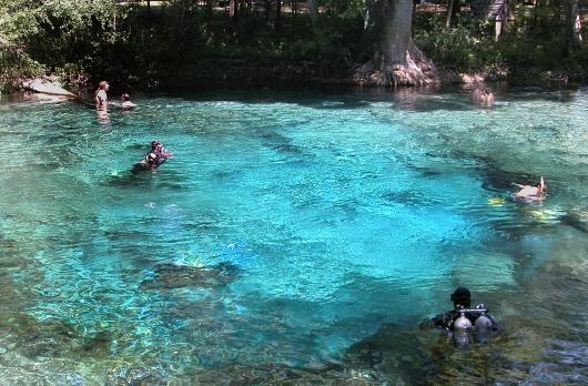 Bosan Diving di Laut? Coba Gua Air Tawar yang Indah Ini!