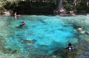 Bosan Diving di Laut? Coba Gua Air Tawar yang Indah Ini!